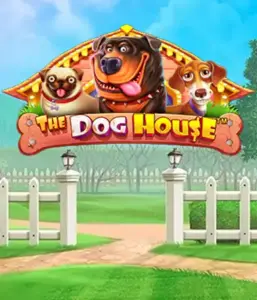 Pragmatic Play's The Dog House Slot, featuring an adorable adventure among charming canines. Discover gameplay elements such as free spins, designed for providing exciting wins. Ideal for pet lovers a lighthearted atmosphere alongside lucrative rewards.