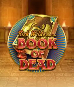 Enter the thrilling world of Book of Dead Slot by Play'n GO, showcasing vivid graphics of Rich Wilde’s adventurous journey through ancient Egyptian tombs and artifacts. Uncover lost riches with captivating mechanics like free spins, expanding icons, and a gamble option. Ideal for those seeking adventure with a desire for unearthing secrets.